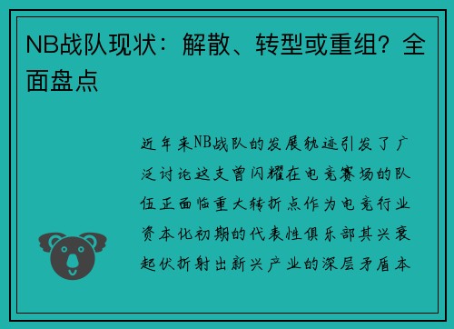 NB战队现状：解散、转型或重组？全面盘点